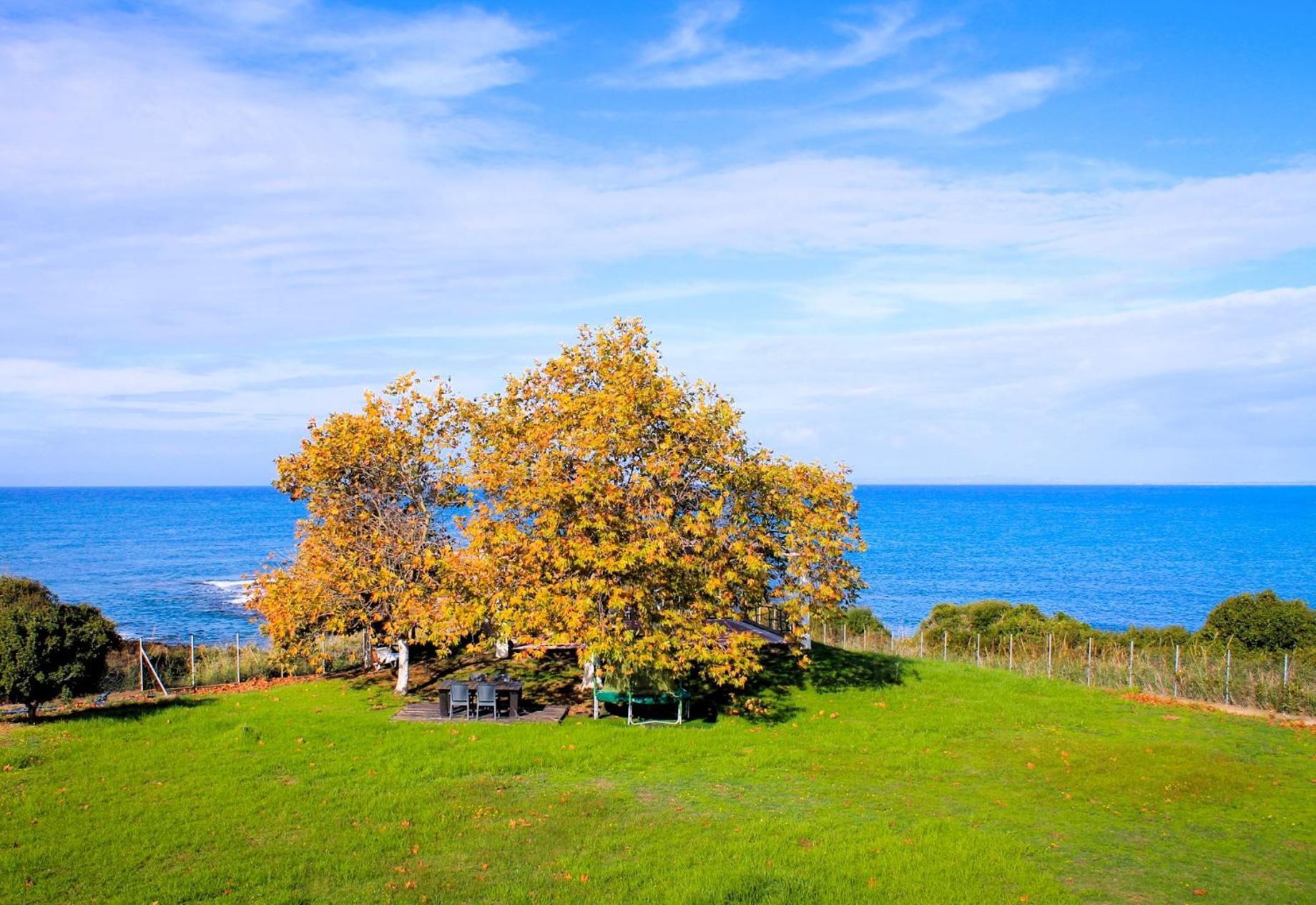 Sea Breeze Ena Apartment Korakochori ภายนอก รูปภาพ